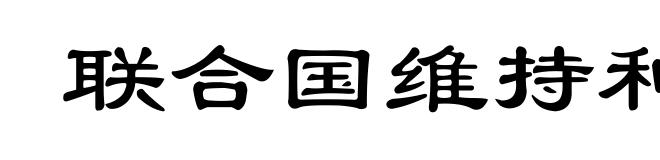 联合国维持和平部队