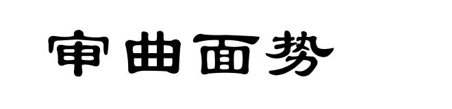 审曲面势