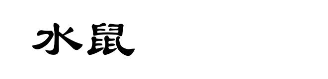 水鼠