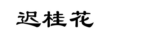 迟桂花