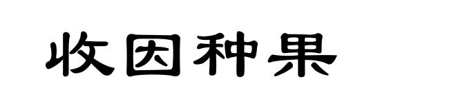 收因种果