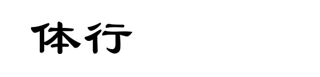 体行