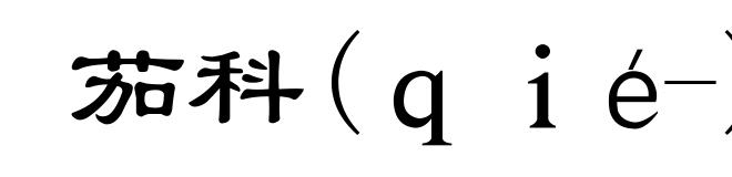 茄科(ｑｉé-)