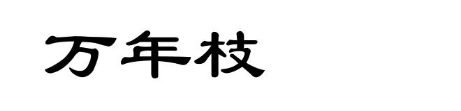 万年枝