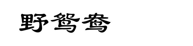 野鸳鸯