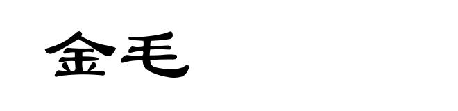 金毛