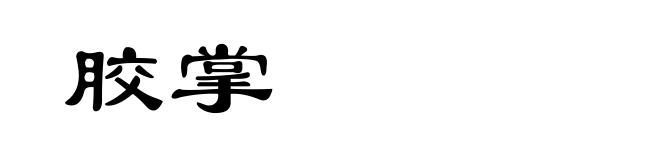 胶掌