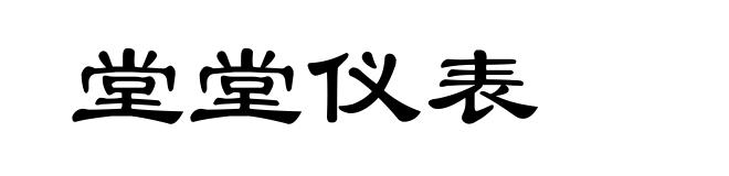 堂堂仪表