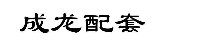 成龙配套
