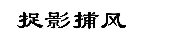 捉影捕风