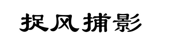 捉风捕影
