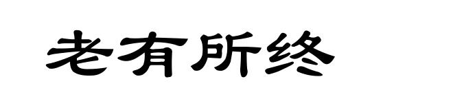 老有所终