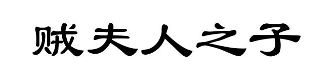 贼夫人之子