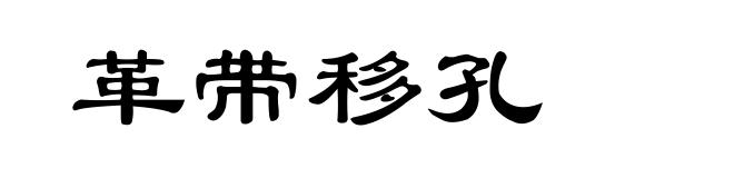 革带移孔