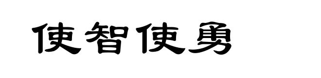 使智使勇