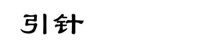 引针
