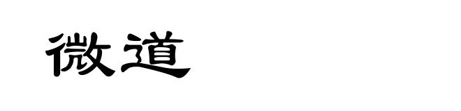 微道