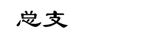 总支