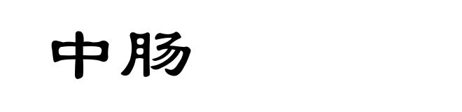 中肠