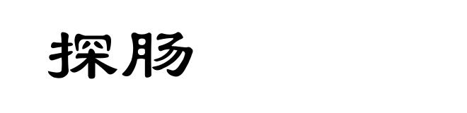 探肠