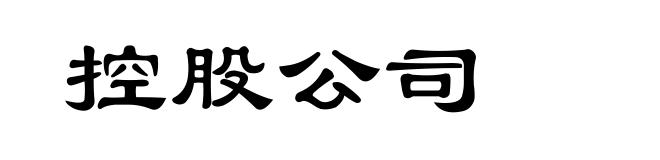 控股公司