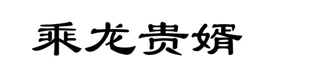 乘龙贵婿