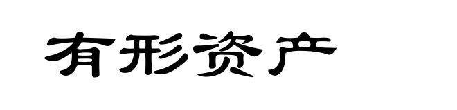 有形资产