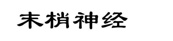 末梢神经