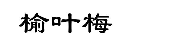 榆叶梅
