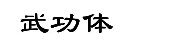 武功体