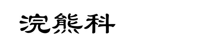 浣熊科