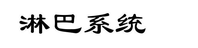 淋巴系统