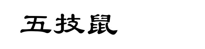 五技鼠