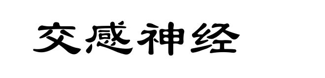 交感神经