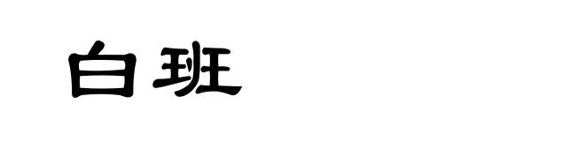 白班