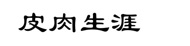 皮肉生涯