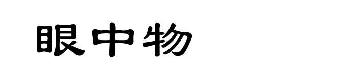眼中物