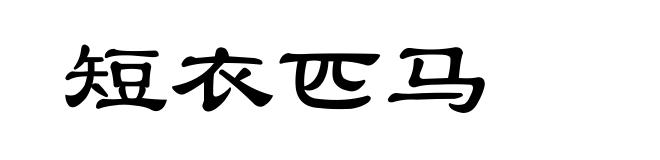 短衣匹马