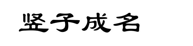竖子成名
