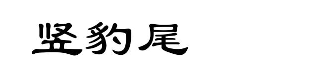 竖豹尾