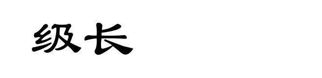 级长