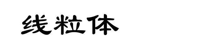 线粒体