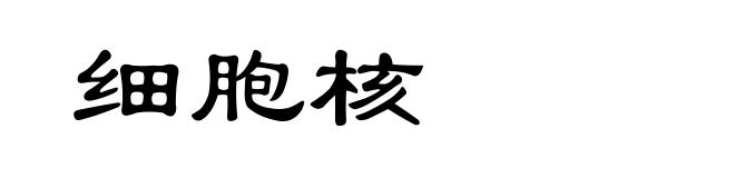 细胞核