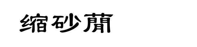缩砂蕑