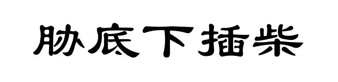 胁底下插柴