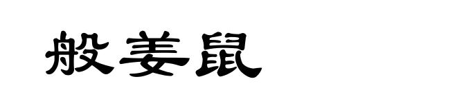 般姜鼠