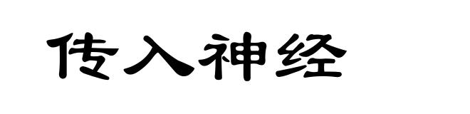 传入神经