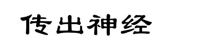 传出神经