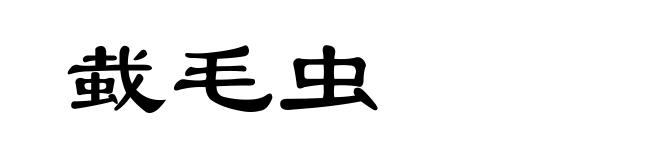 蛓毛虫