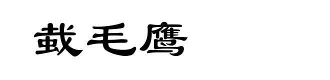 蛓毛鹰